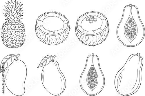 Collection of tropical fruits including pineapple, coconut, mango, and papaya in outline style