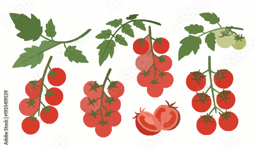 Cherry Tomatoes on Vine Food Illustration Collection Ripe Tomato Plant Vector