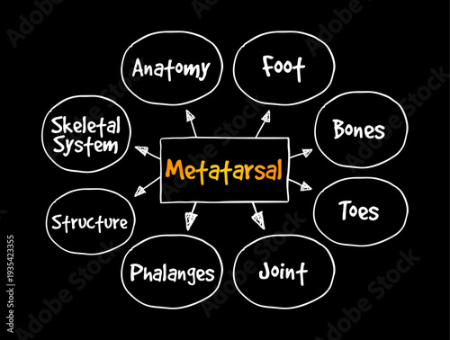 METATARSAL mind map illustrating Foot, Bones, Toes, Joint, Phalanges, Structure, Anatomy, and Skeletal System. Medical diagram for educational study, healthcare, podiatry, and orthopedic research.