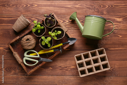 Pots with seedlings and gar...