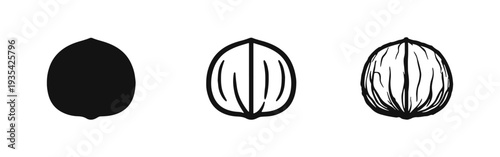 Walnut Nut Icon Set in Solid, Outline, and Hand-Drawn Styles for Food, Healthy Eating, and Ingredients