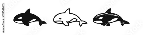 Cute Killer Whale Orca Icons Set - Hand Drawn Black and White Marine Mammal Vector Illustration