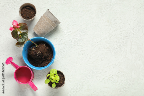 Potted plants, watering can...