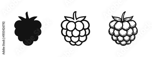 Raspberry Fruit Icons Set: Solid, Outline, and Hand-Drawn Styles for Fresh Berry Graphics