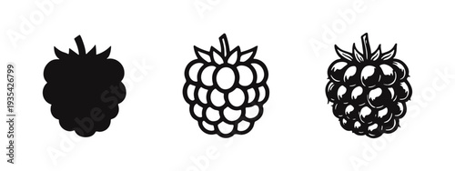 Blackberry Fruit Icons Set: Solid, Outline, and Doodle Styles for Fresh Dark Berry Illustrations