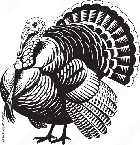 Turkey with Fan Tail Black and White Stylized