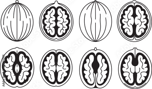 walnuts in different angles Whole and Halved with Brain Pattern Outline Icons