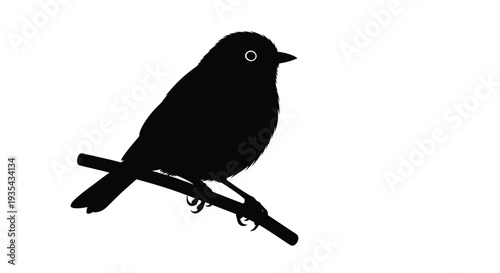 Hummingbird silhouette in flight against white background with spread wings