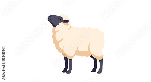 Cartoon Sheep Standing Quietly in Pasture Theme. Vector Illustrations. EPS Editable