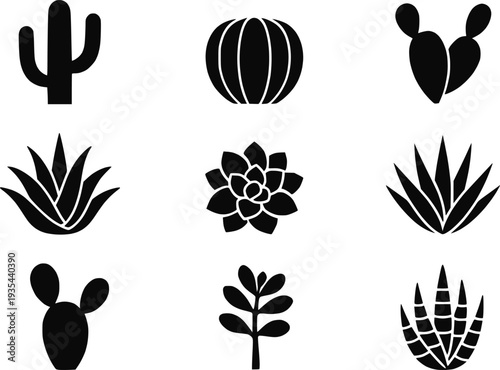 Cactus succulents silhouette vector icon set isolated
