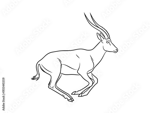 A line drawing of a pronghorn antelope in mid stride