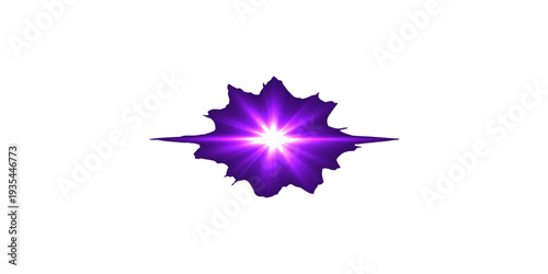 Abstract pink lotus flower vector illustration with a floral pattern design of stars and leaf ornaments for a spring holiday nature wallpaper