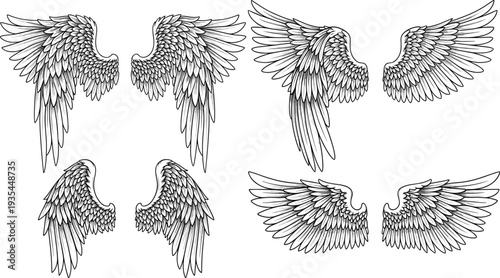 Detailed hand drawn eagle and angel wing vector set for tattoo design gothic emblems heraldic crests and vintage apparel illustrations.