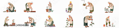 Elderly woman gardening her rose plants: A collection of illustrations showing various daily activities, from watering and pruning to repotting and inspecting.