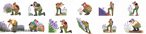 Outdoor Photographers Capturing Bees on Lavender Flowers: A Vector Collection for Nature and Wildlife Photography.