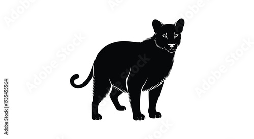 Bear in vector with white background