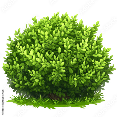 Cartoon Green Bush Isolated On White Background. Vector Shrub Illustration.