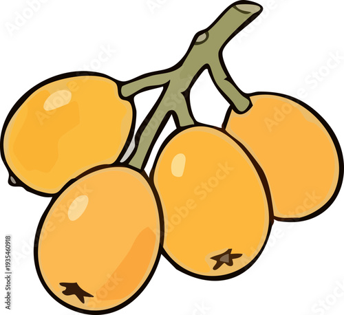 vector illustration of a fresh fruit
