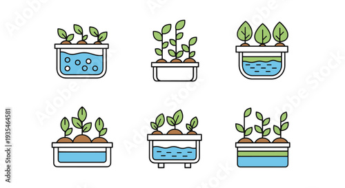 Aquaponic plant Line art minimal digital color illustration