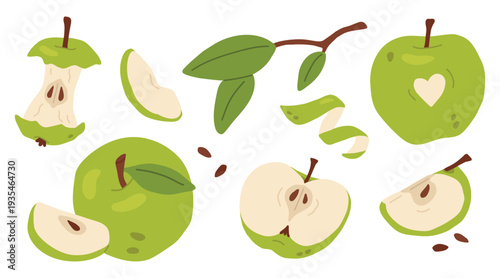 Flat vector green apple set with whole, sliced, half and core pieces, peel and leaves. Cute green fruit collection isolated on light background. Fresh food illustration in soft style.