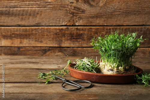 Plate with fresh micro green sprouts and scissors on wooden background