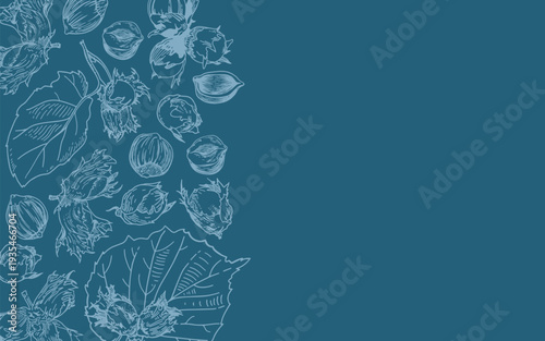 Horizontal banner with vector hand drawn linear drawing of hazelnuts and leaves on a dark blue background.