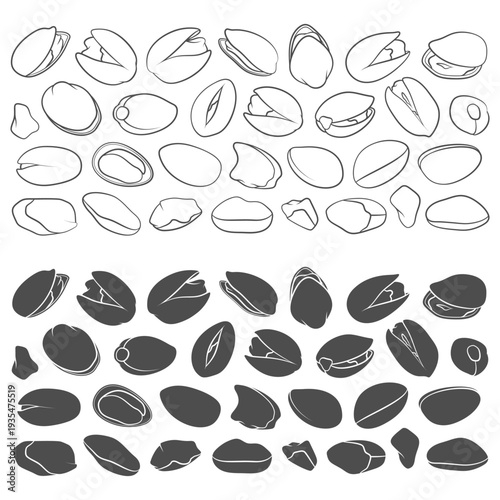 Set of black and white illustrations of pistachio nuts. Isolated vector objects on white background.