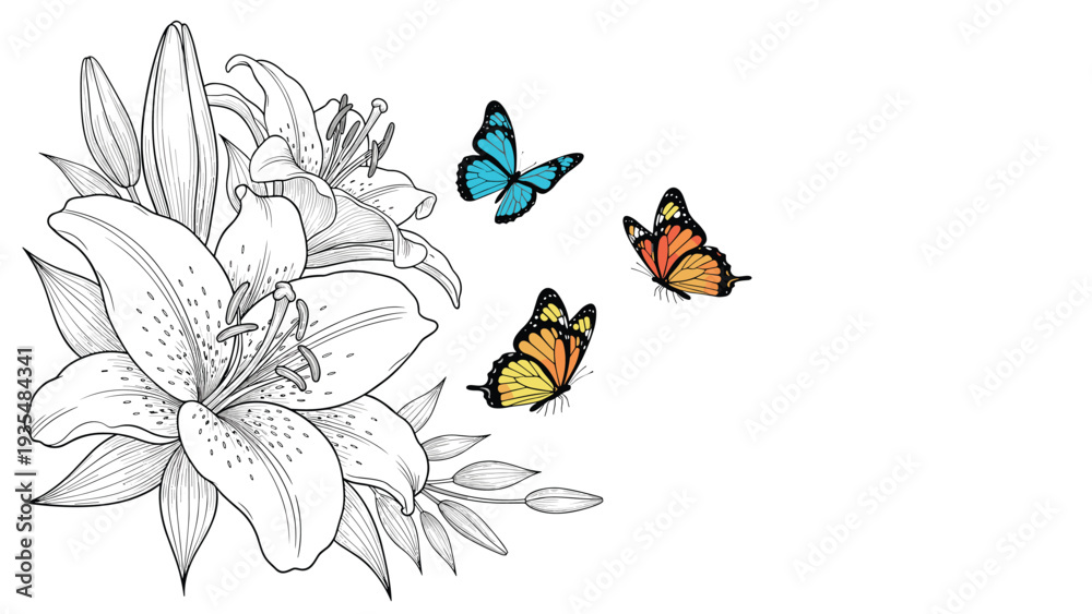 Fototapeta premium Detailed lily blossoms in line art style are accompanied by three colorful butterflies in blue orange and yellow tones flying nearby.