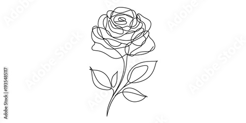 Minimalist single line art illustration of a blooming rose with elegant petals and a slender stem. Vector, illustration