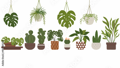 Collection of hanging and potted houseplants in a minimalist illustration