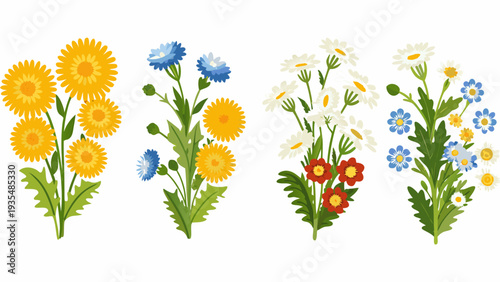 Colorful floral illustration featuring dandelions cornflowers daisies and other blooms