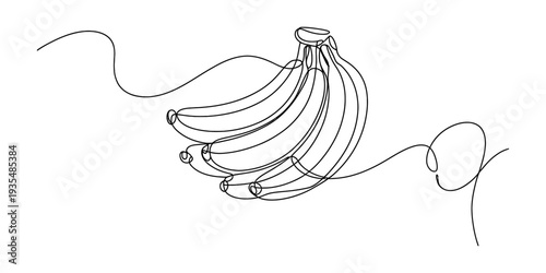 Minimalist continuous line art illustration of a ripe bunch of bananas on white. Vector, illustration