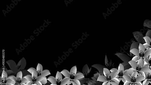 Elegant white lilies bloom in a striking grayscale composition