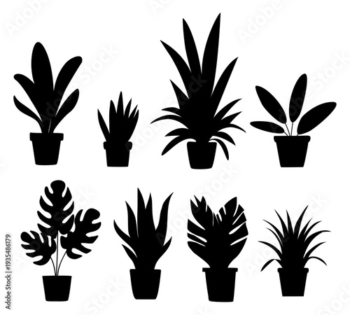 Collection of black potted plant silhouettes, including Monstera and leafy houseplants, isolated on transparent background in a clean, flat style