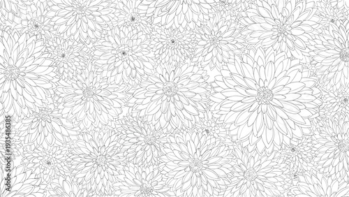 Dense seamless pattern of blooming daisy flowers in black and white line art style creating a repetitive floral texture for background.