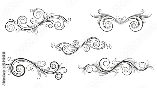 Collection of five elegant black scroll flourishes and decorative swirls on a white background for classic typography and border design.