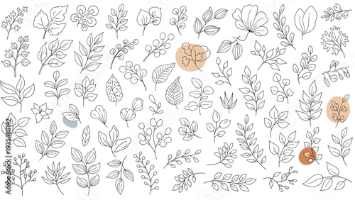Comprehensive collection of various leaf and plant sprig sketches in black and white line art with soft pastel color accents.