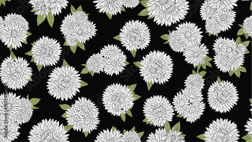 Contrast seamless pattern with hand drawn white aster flowers on a black background for bold fabric designs.