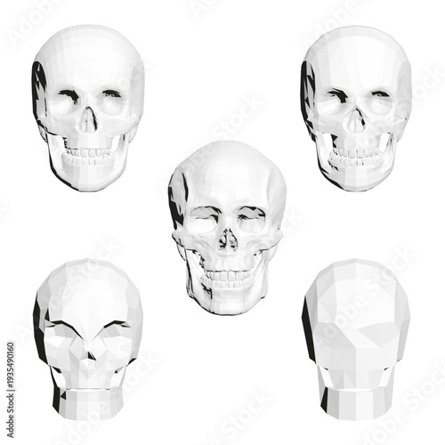 Low poly human skulls arranged symmetrically on a white background. Each skull features a unique polygonal shape and texture with a gradient color palette from light to dark, creating.