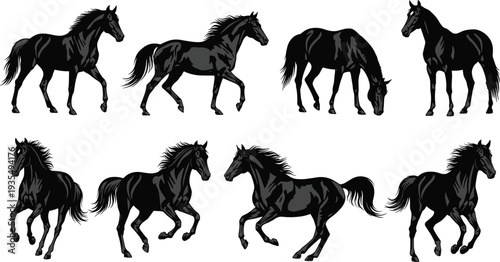 Running horse silhouettes collection featuring galloping and standing horses isolated vector illustration set for equestrian, farm and wildlife design