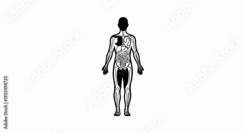 Stylized human body outline displaying skeletal and organ systems