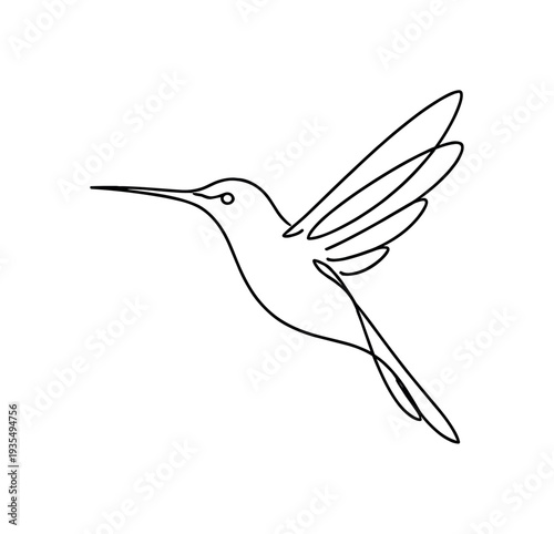"Hummingbird". Minimalistic one-line drawing tiny hummingbird hovering in mid-air with long beak extended and