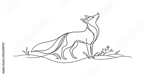 "Wild Fox Silhouette". Minimalistic one-line drawing elegant fox with flowing tail standing within gentle