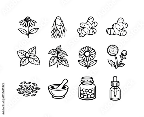 Medicinal Herb Icons. medicinal herbs set. Line outline icon set of medicinal herbs set: echinacea flower,