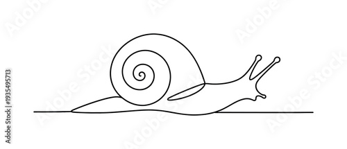 Minimal snail line art illustration representing nature and slow living concept