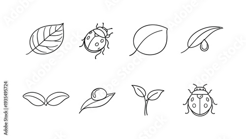 Spring botanical divider collection featuring flowers, leaves and decorative natural accents