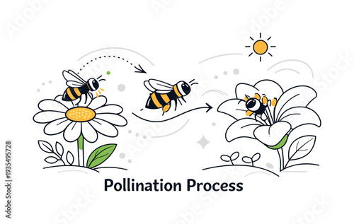 Pollination Process Concept. A minimal educational-style scene showing bees transferring pollen between