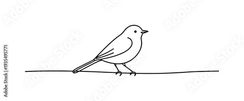 Minimal bird standing line art illustration representing wildlife, nature observation and peaceful outdoor scenery