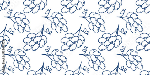 Hand drawn bunches of blue grapes seamless pattern. White background with blue berry silhouettes, doodle sketch style. Healthy organic food print. Continuous fill for packaging, paper, textile, and de