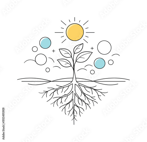 Tree life cycle concept